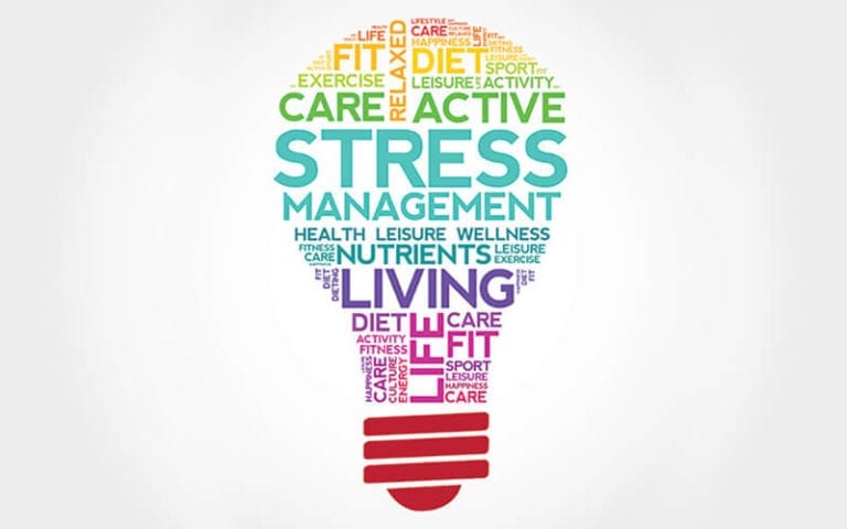 A word cloud in the shape of a lightbulb with lifestyle related words. Words include Stress Management, Nutrients, Living, Diet, Life, Care, Active, Relaxed, etc.