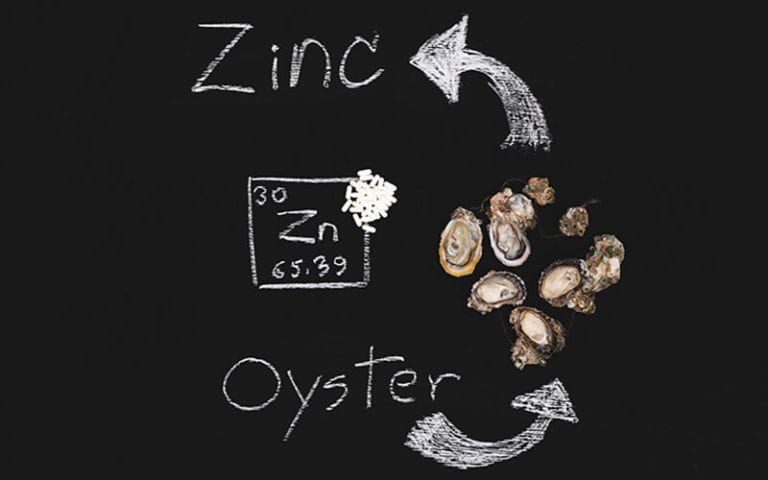 Image of oysters on a chalkboard with arrows pointing to Zinc.