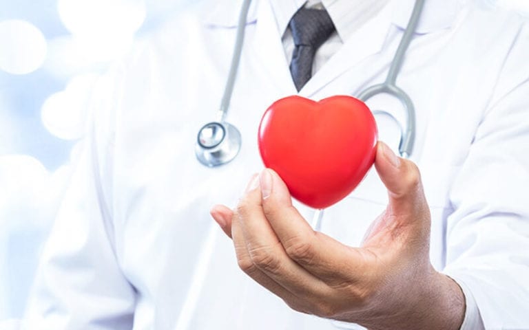 A doctor is holding a heart shaped object.